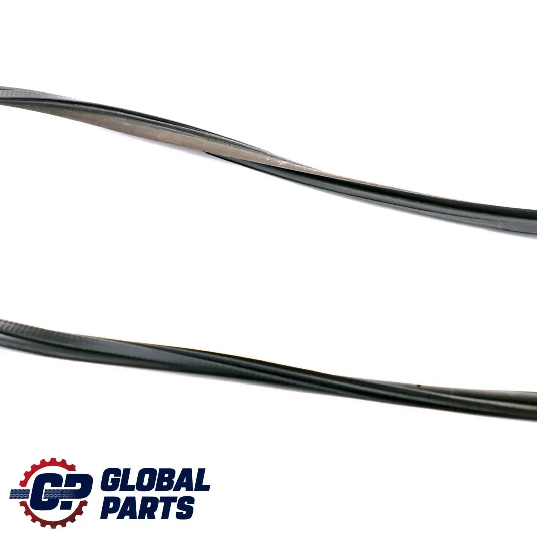 Portellone Posteriore Guarnizione Tenuta Guarnizione per BMW E46 Touring con numero di parte 8233431 BMW E46 Touring Portellone Posteriore Guarnizione Tenuta Guarnizione - SKU 8233431 - Numero di parte 8233431