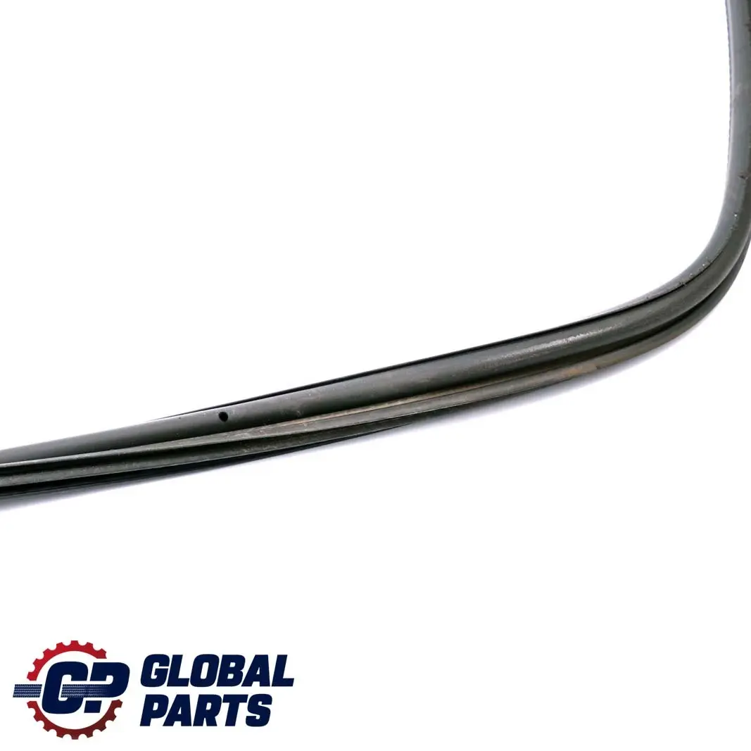 Portellone Posteriore Guarnizione Tenuta Guarnizione per BMW E46 Touring con numero di parte 8233431 BMW E46 Touring Portellone Posteriore Guarnizione Tenuta Guarnizione - SKU 8233431 - Numero di parte 8233431