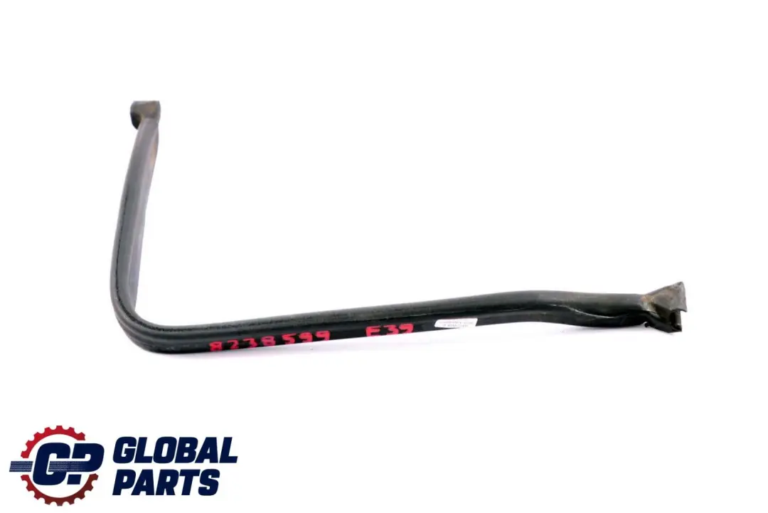 BMW 5 er E39 Abdichtung Mikrofilterkasten Links Frontklappe - SKU 8238599 - Teilenummer 8238599