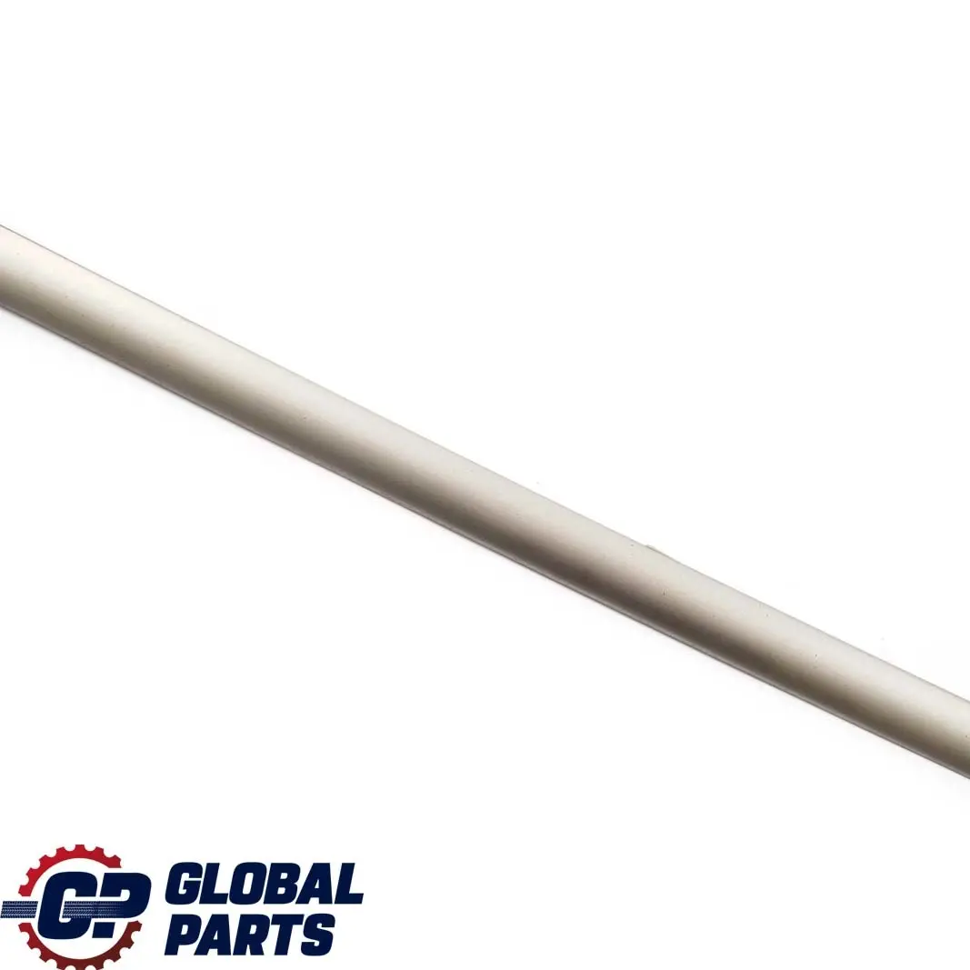 BMW E53 Acabado Ventana Lateral Trasera Izquierda Strip Trim Titan - SKU 8245865 - Número de pieza 8245865
