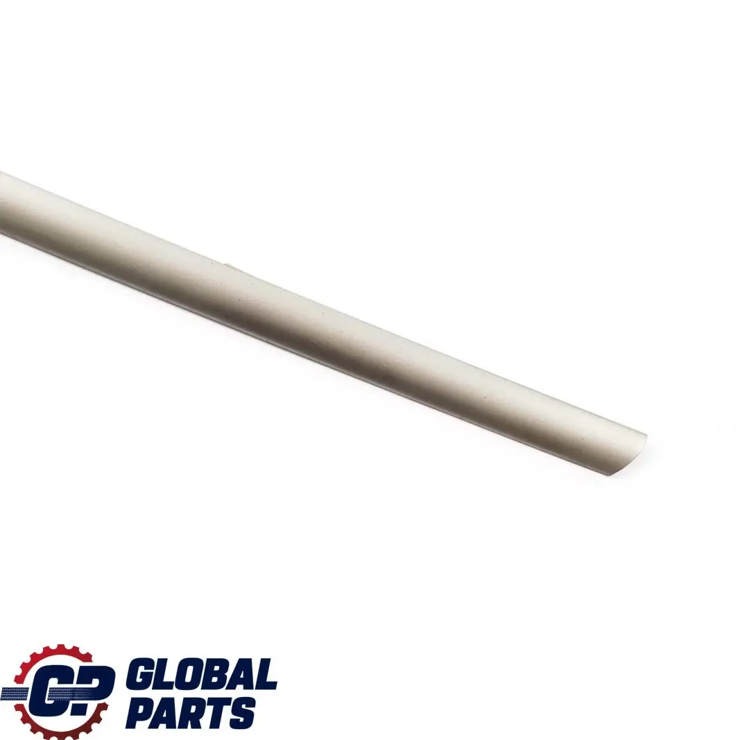 Finisher Finestra Laterale Posteriore Sinistra Striscia Titan per BMW X5 E53 con numero di parte 8245865 BMW X5 E53 Finisher Finestra Laterale Posteriore Sinistra Striscia Titan - SKU 8245865 - Numero di parte 8245865
