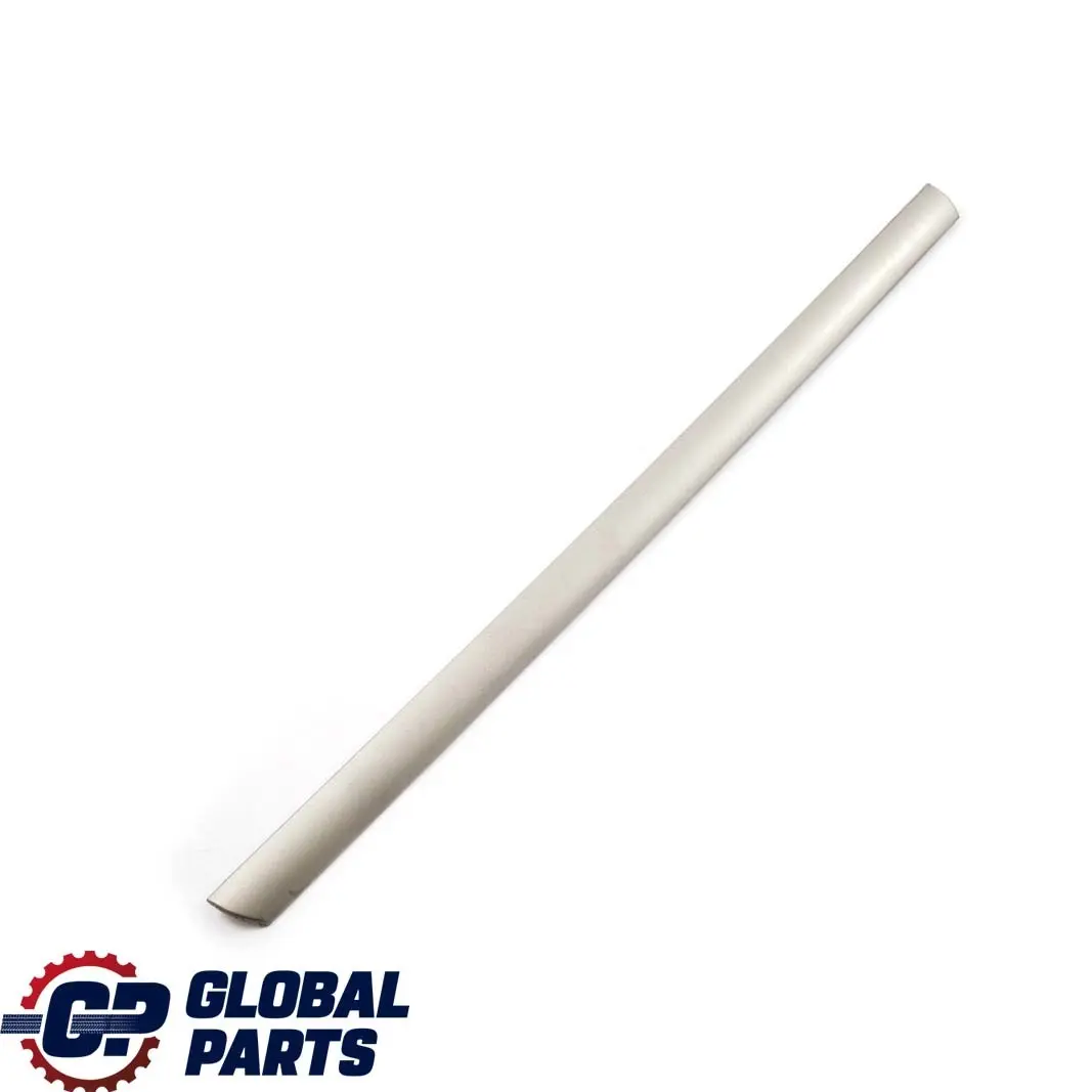 BMW X5 E53 Baguette Fenetre Laterale Arriere Droite Titan - SKU 8245866 - Numéro de pièce 8245866
