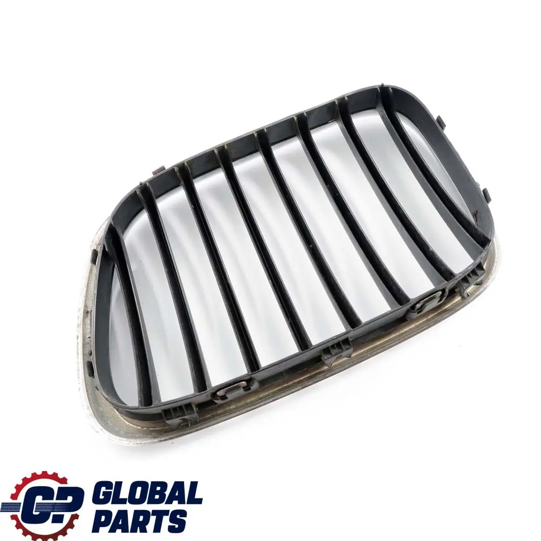 Front Right Titan Grille O/S Chrome to BMW X5 Series E53 2 with Part number 8247674 BMW X5 Series E53 2 Front Right Titan Grille O/S Chrome - SKU 8247674-2 - Part number 8247674
