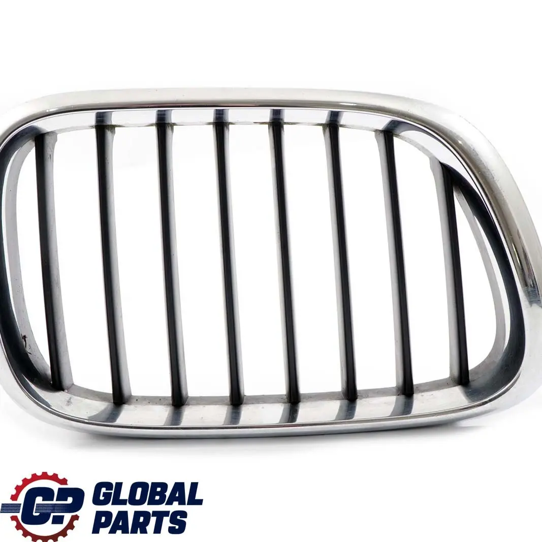 Delantera Derecha Titan Rejilla Cromo para BMW E53 2 con número de pieza 8247674 BMW E53 2 Delantera Derecha Titan Rejilla Cromo - SKU 8247674-2 - Número de pieza 8247674