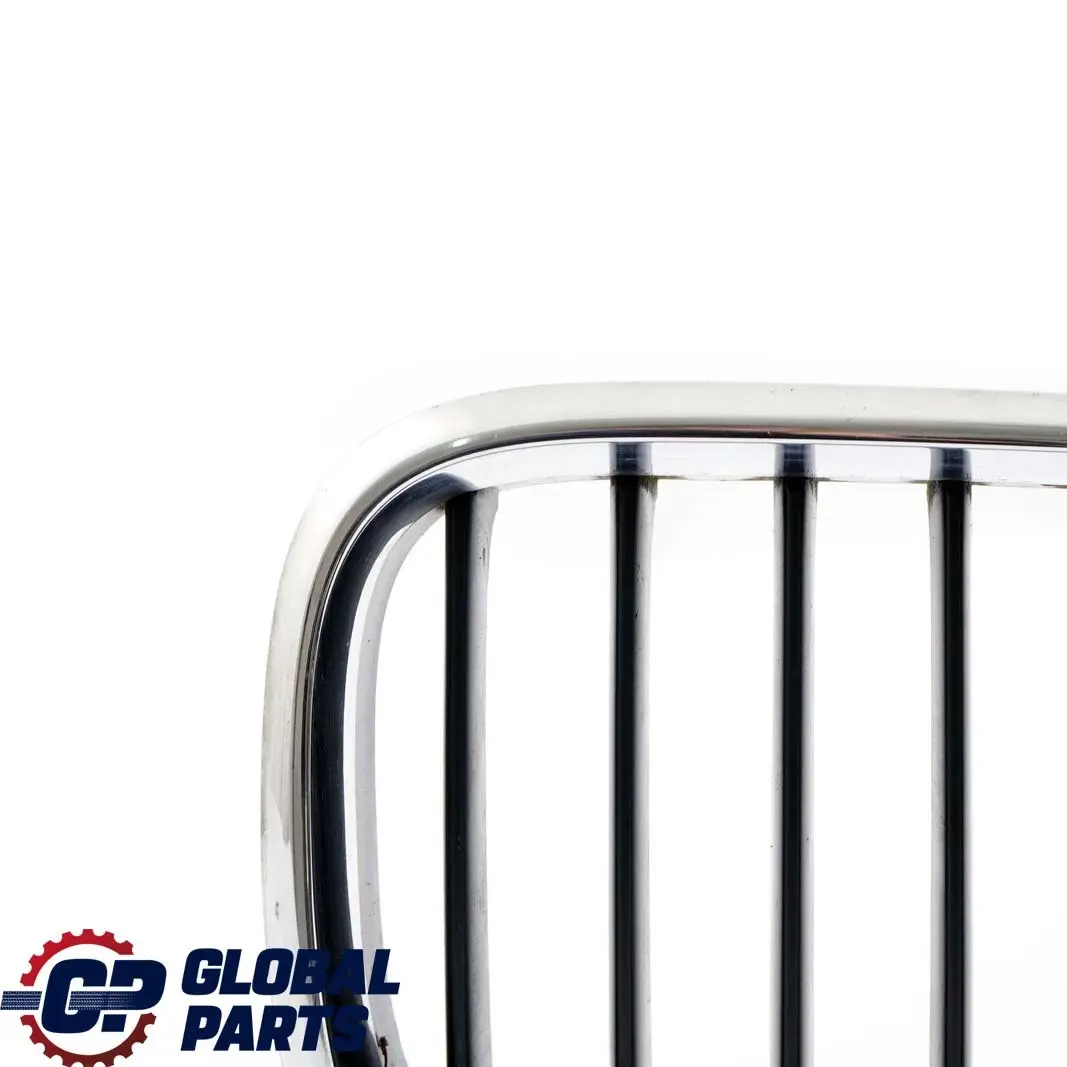 Przednia Prawa Kratka Titan Chrome do BMW X5 E53 o numerze 8247674 BMW X5 E53 Przednia Prawa Kratka Titan Chrome - SKU 8247674-2 - Numer Części 8247674