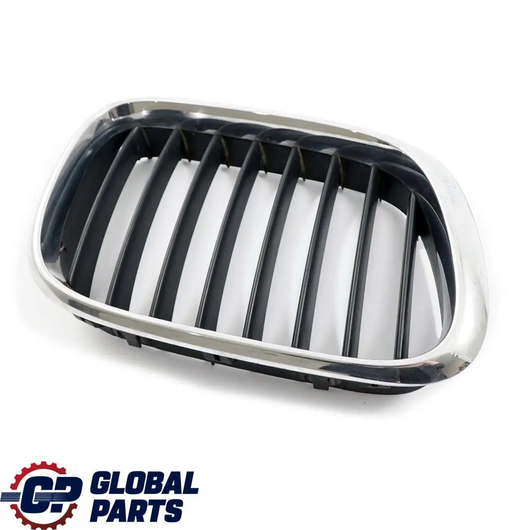 BMW E53 2 Delantera Derecha Titan Rejilla Cromo - SKU 8247674-2 - Número de pieza 8247674