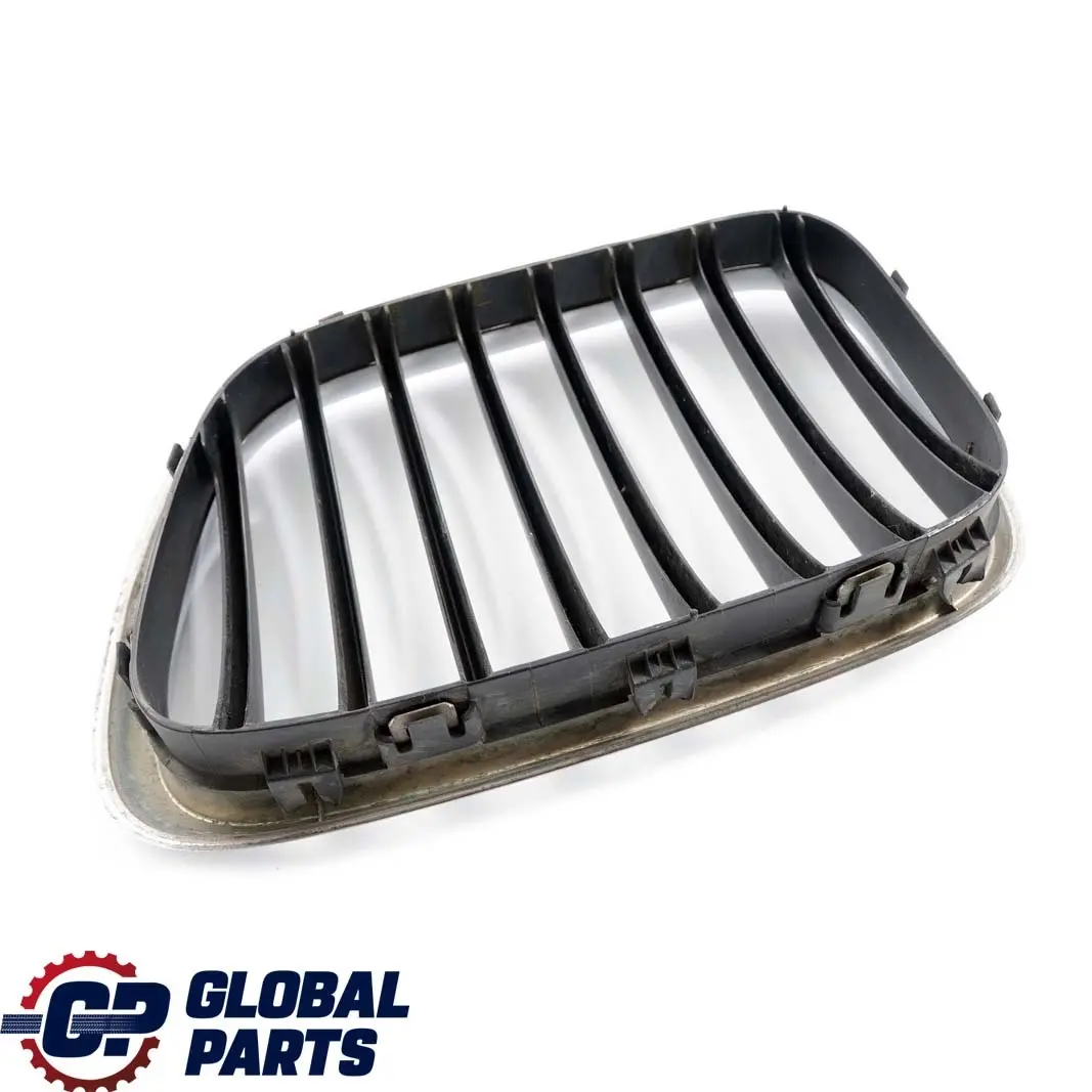 BMW X5 er E53 2 Ziergitter Vorne Rechts Chrom - SKU 8247674-2 - Teilenummer 8247674
