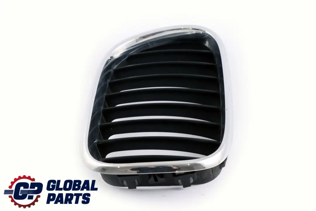 BMW X5 E53 Delantero Derecho Titan Rejilla Cromo - SKU 8247674 - Número de pieza 8402646