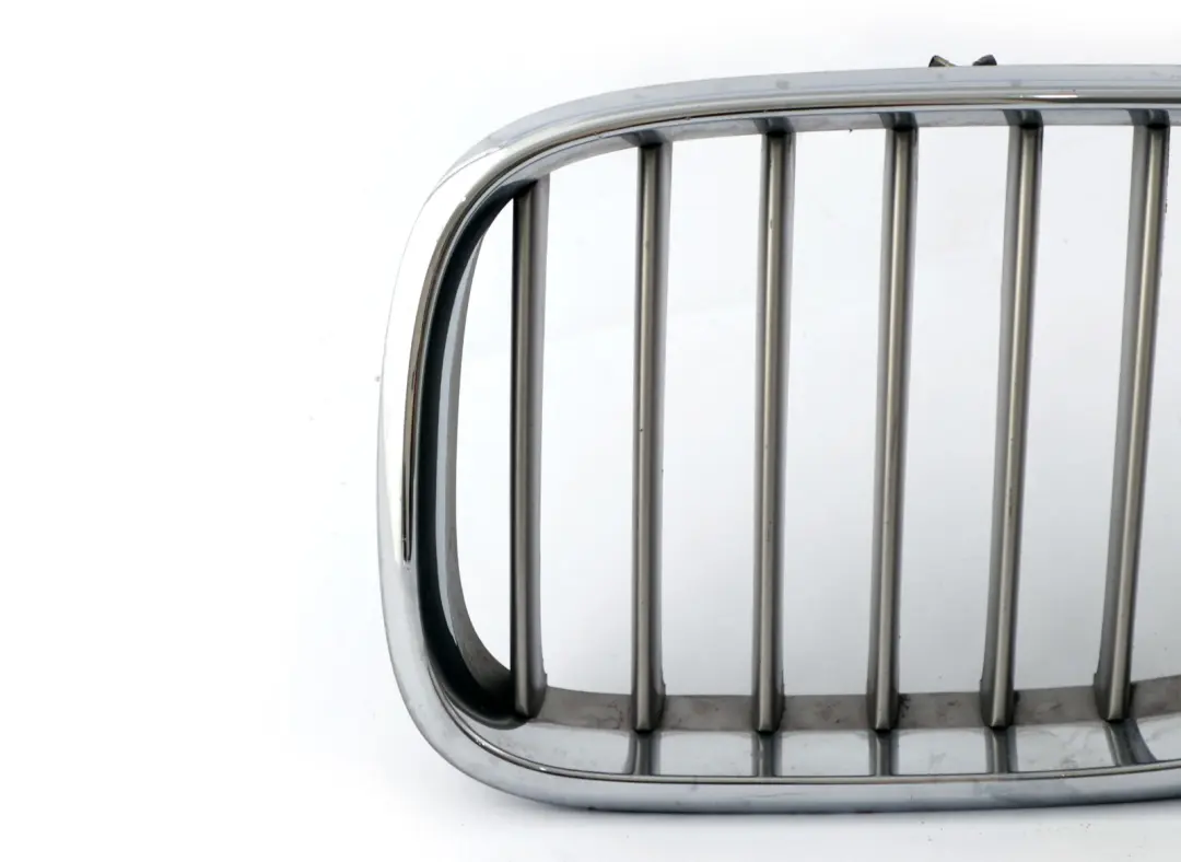 Griglia Ornamentale Copertura Frontale SX Titan Cromo 8250051 per BMW X5 E53 con numero di parte 8247673 BMW X5 E53 Griglia Ornamentale Copertura Frontale SX Titan Cromo 8250051 - SKU 8250051-1 - Numero di parte 8247673