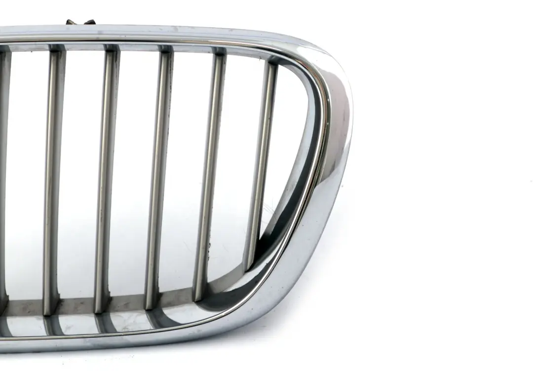 Grill nerka atrapa lewa chrom do BMW X5 E53 o numerze 8247673 BMW X5 E53 Grill nerka atrapa lewa chrom - SKU 8250051-1 - Numer Części 8247673