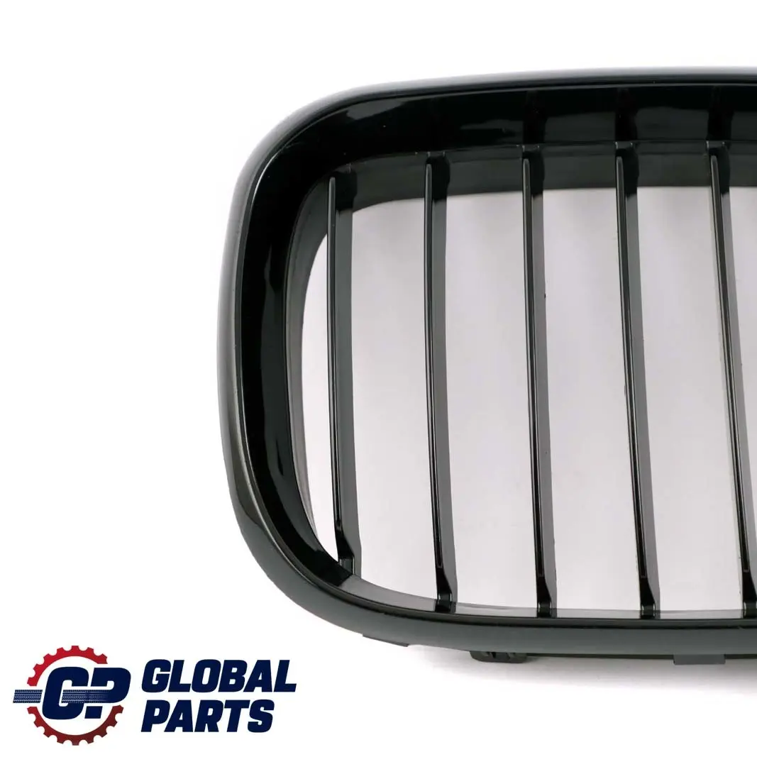 Set Front Left Right N/O/S Grill Trim Glanzschwarz Black to BMW X5 Series E53 with Part number 8250051 BMW X5 Series E53 Set Front Left Right N/O/S Grill Trim Glanzschwarz Black - SKU 8250051-2 - Part number 8250051