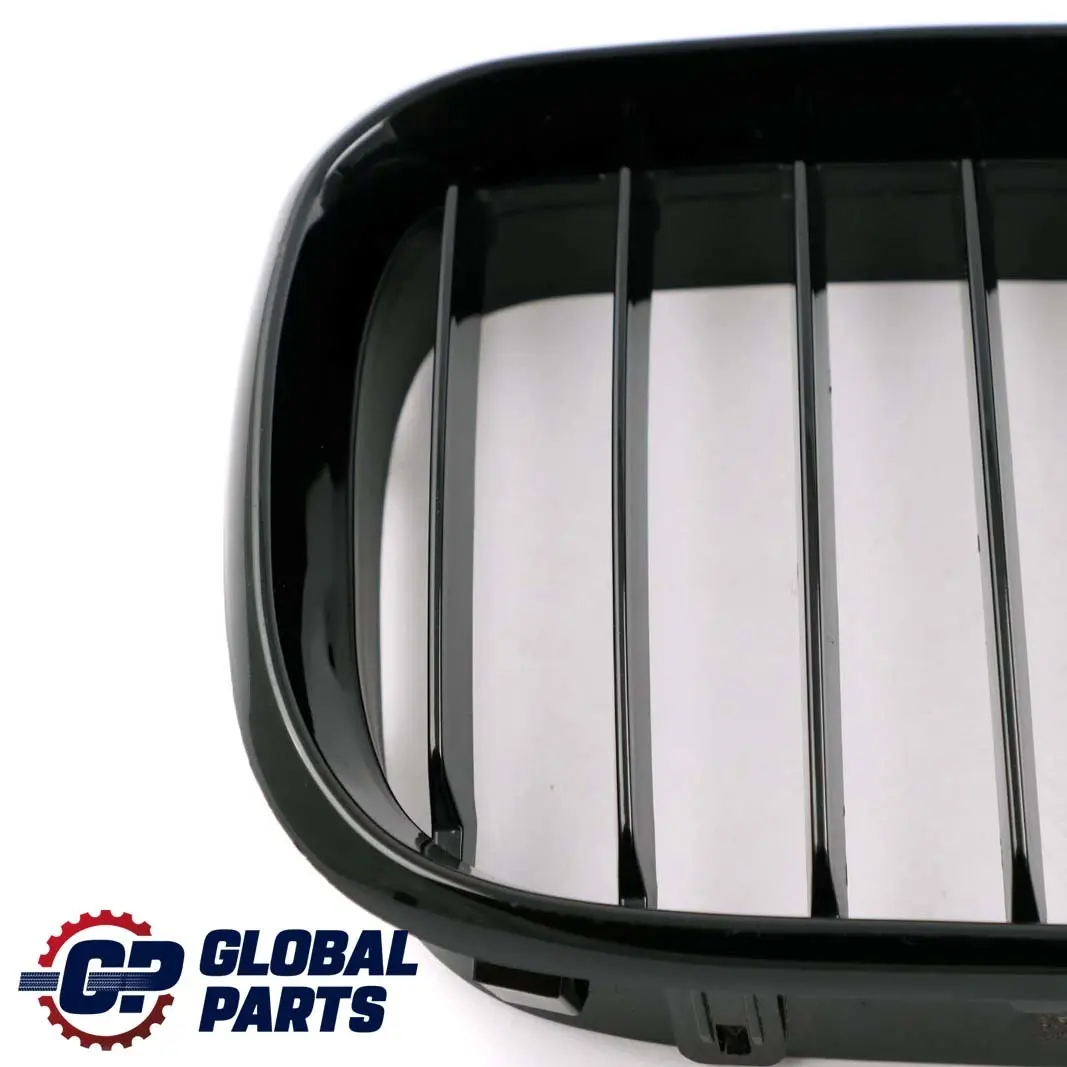 Set Front Left Right N/O/S Grill Trim Glanzschwarz Black to BMW X5 Series E53 with Part number 8250051 BMW X5 Series E53 Set Front Left Right N/O/S Grill Trim Glanzschwarz Black - SKU 8250051-2 - Part number 8250051