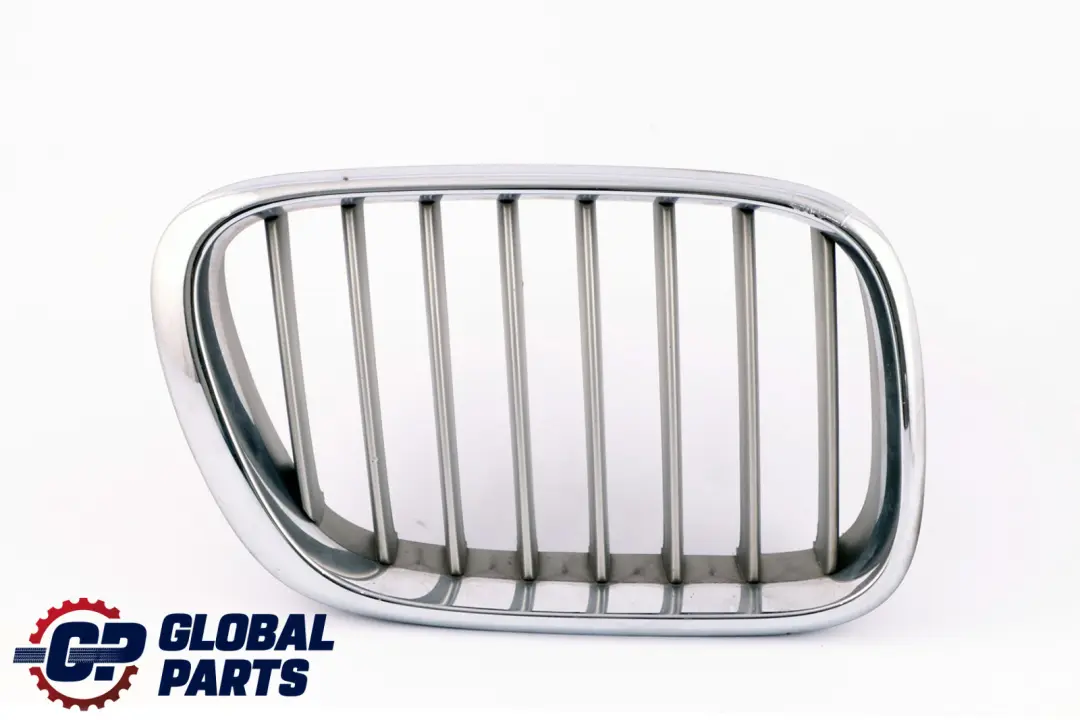 Original X5 Reihe E53 Ziergitter Front vorne rechts TITAN 8247674 für BMW mit Teilenummer 8250052 BMW Original X5 Reihe E53 Ziergitter Front vorne rechts TITAN 8247674 - SKU 8250052-1 - Teilenummer 8250052
