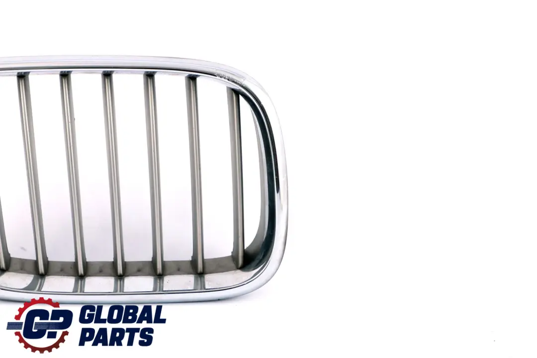 BMW Originale X5 E53 Griglia Ornamentale Fronte Frontale Dx Titan - SKU 8250052-1 - Numero di parte 8250052