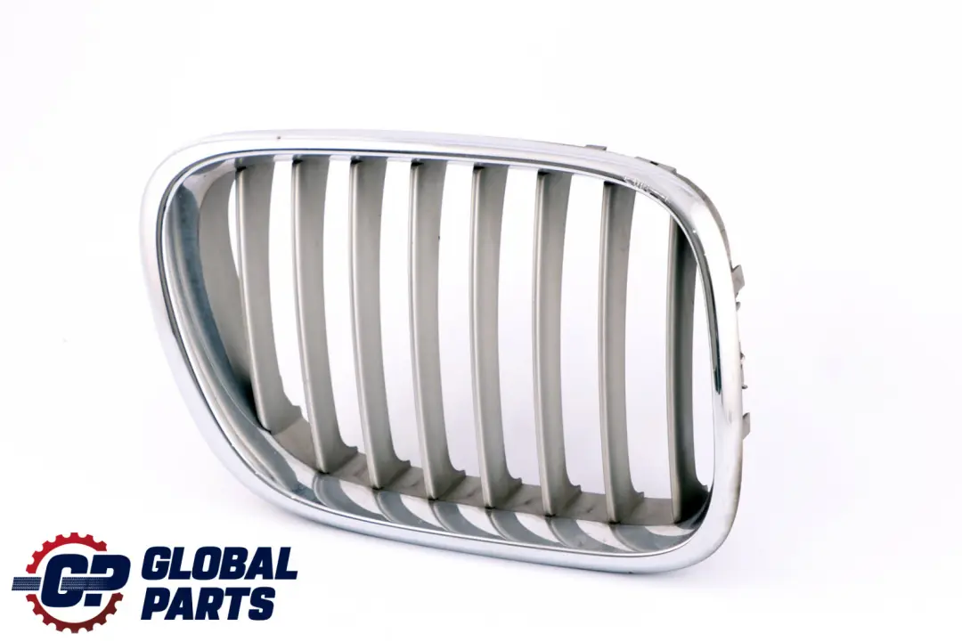 BMW Original X5 Reihe E53 Ziergitter Front vorne rechts TITAN 8247674 - SKU 8250052-1 - Teilenummer 8250052