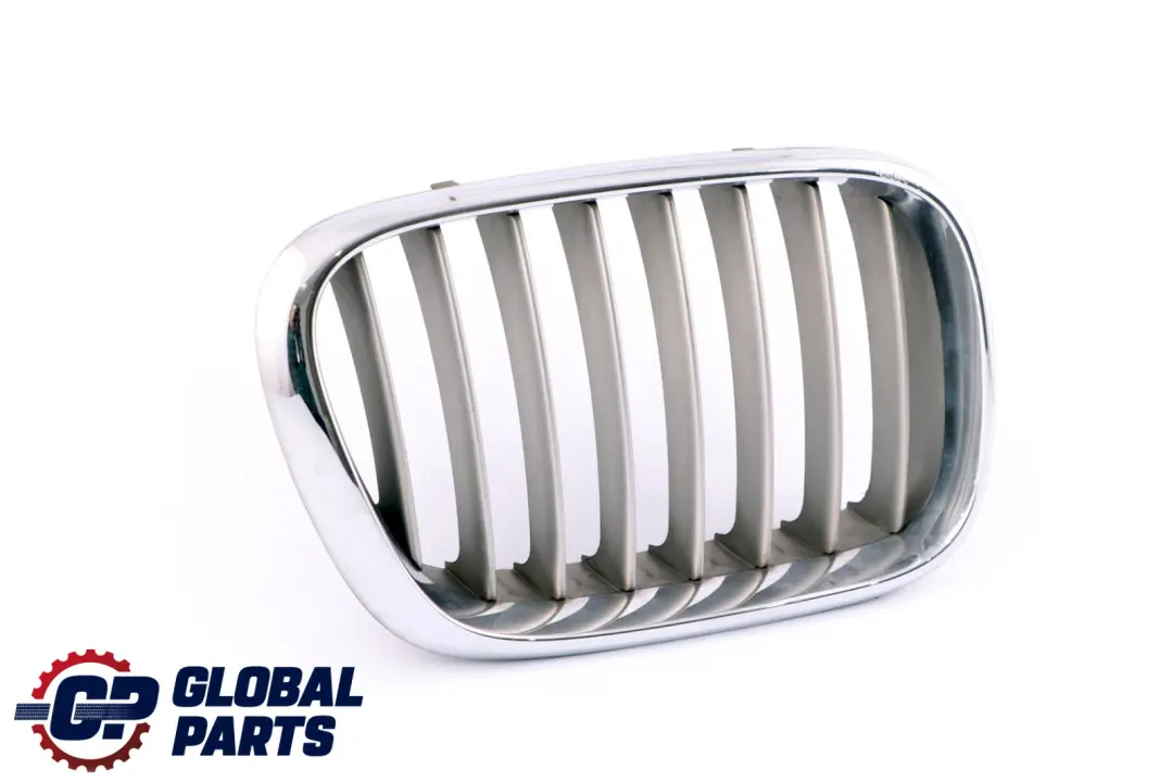 BMW Original X5 E53 Grille Decorative Avant Droit Titan 8247674 - SKU 8250052-1 - Numéro de pièce 8250052
