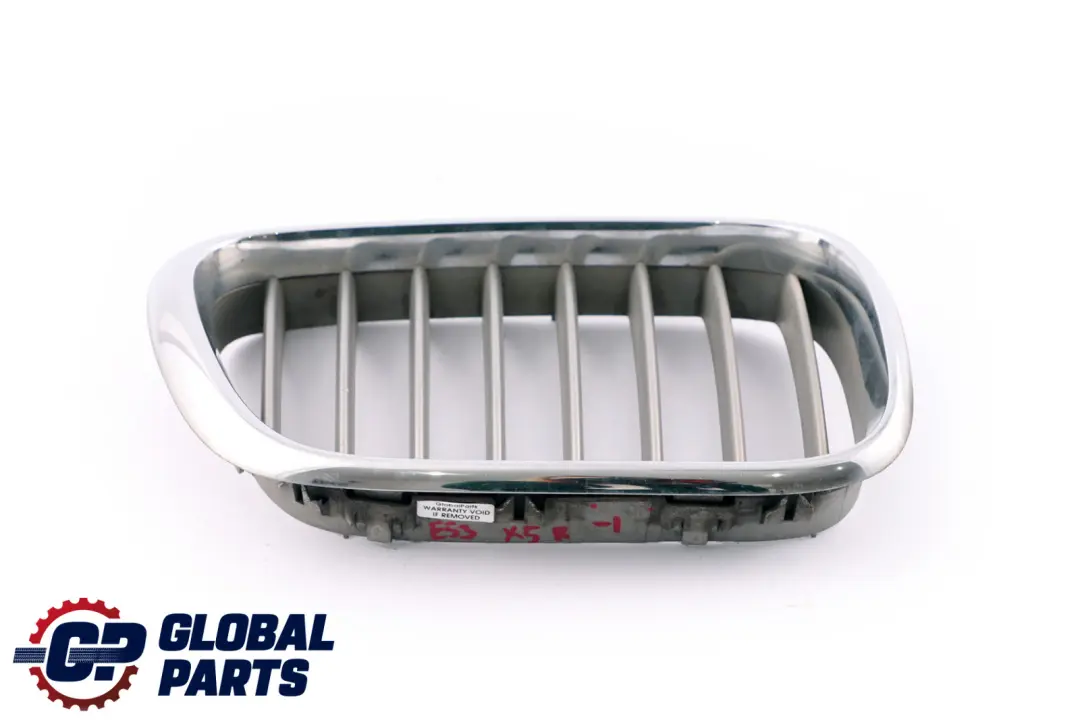 BMW Original X5 Reihe E53 Ziergitter Front vorne rechts TITAN 8247674 - SKU 8250052-1 - Teilenummer 8250052