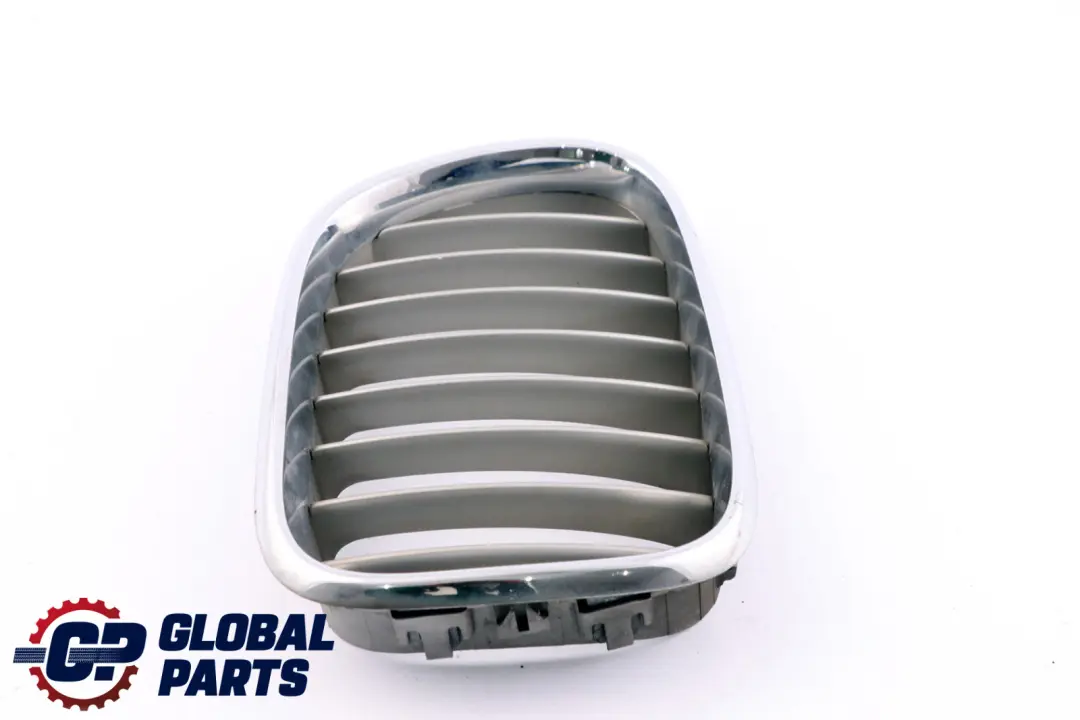 Originale X5 E53 Griglia Ornamentale Fronte Frontale Dx Titan per BMW con numero di parte 8250052 BMW Originale X5 E53 Griglia Ornamentale Fronte Frontale Dx Titan - SKU 8250052-1 - Numero di parte 8250052