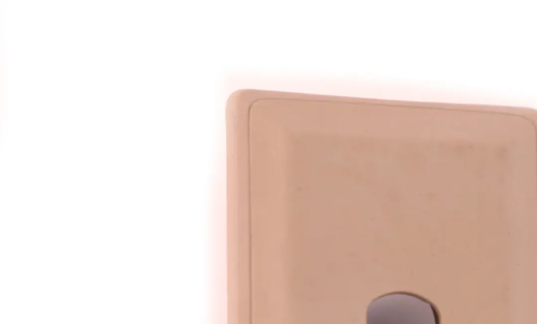 Infierno Beige Trasero Derecho O / S Gancho Rodillo Red Cubierta 8402350 para BMW E53 con número de pieza 8250068 BMW E53 Infierno Beige Trasero Derecho O / S Gancho Rodillo Red Cubierta 8402350 - SKU 8250068 - Número de pieza 8250068