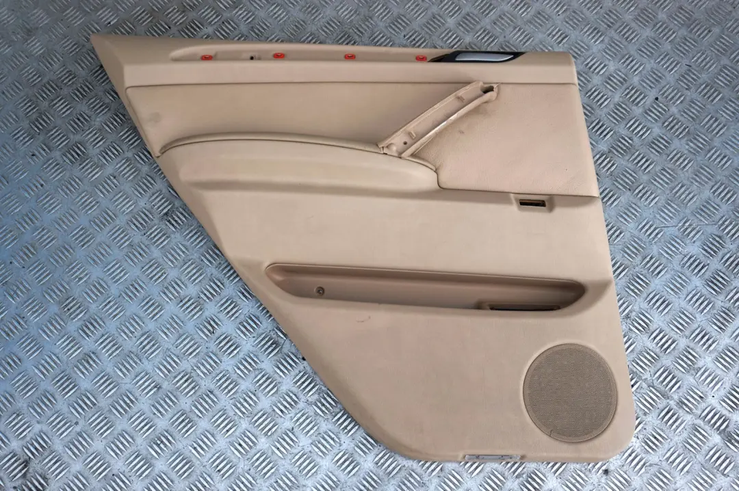Türverkleidung Hinten Links Leder Hell Beige für BMW X5 er E53 mit Teilenummer 8250207 BMW X5 er E53 Türverkleidung Hinten Links Leder Hell Beige - SKU 8250207 - Teilenummer 8250207