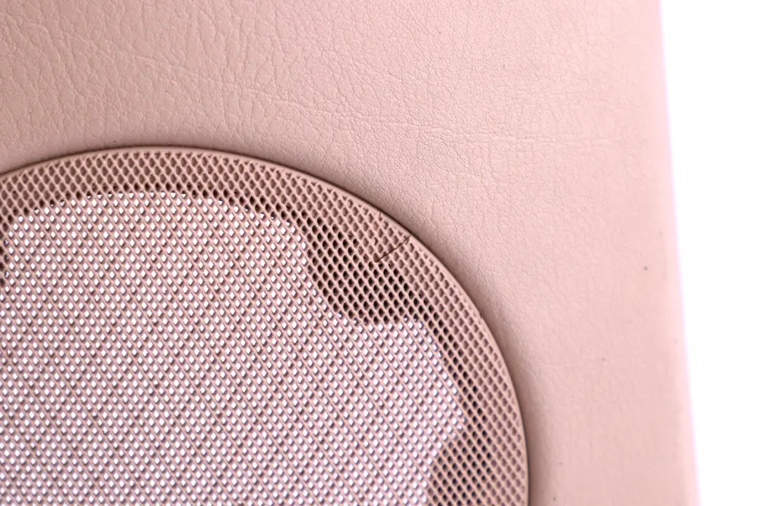 BMW X5 Reihe E53 Türverkleidung Hinten Links Beige Rollo - SKU 8250209 - Teilenummer 8250209