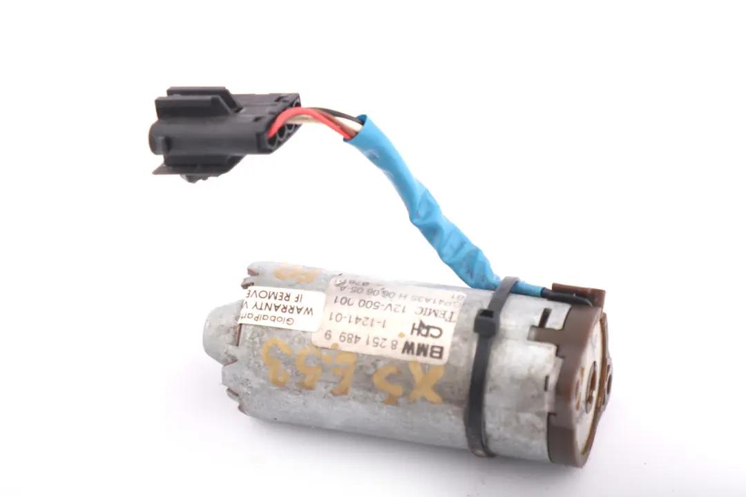 Moteur Reglage De L'Inclinaison Avant pour BMW X5 E53 à propos du numéro de pièce 8251489 BMW X5 E53 Moteur Reglage De L'Inclinaison Avant - SKU 8251489 - Numéro de pièce 8251489