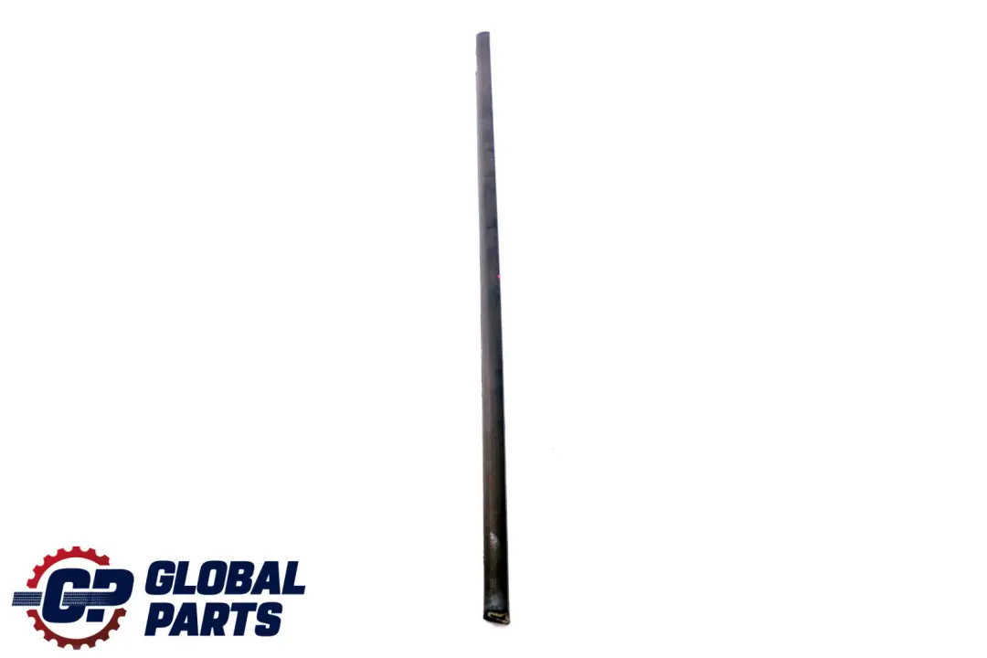 BMW X5 Series E53 Door Weatherstrip Left Rear N/S - SKU 8251591 - Part number 8251591