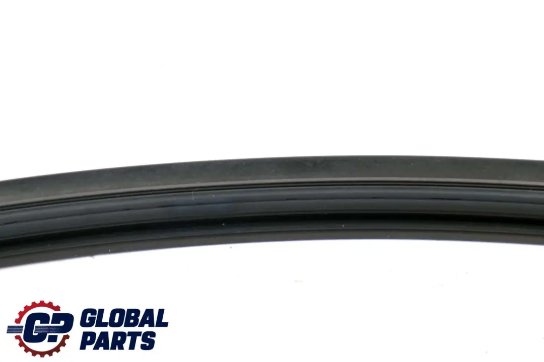 BMW 5 er E39 Dichtung Türfuge Dach Vorne Links - SKU 8254529 - Teilenummer 0402745