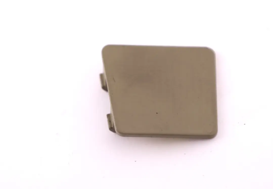 BMW X5 Series E53 Right O/S Boot Load Sill Cover Lid Pastel Green - SKU 8255824 - Part number 8255824