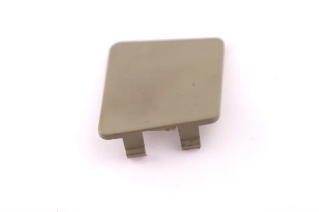 BMW X5 Series E53 Right O/S Boot Load Sill Cover Lid Pastel Green - SKU 8255824 - Part number 8255824