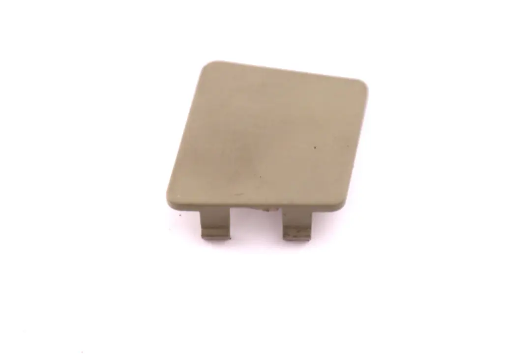 BMW X5 Series E53 Right O/S Boot Load Sill Cover Lid Pastel Green - SKU 8255824 - Part number 8255824