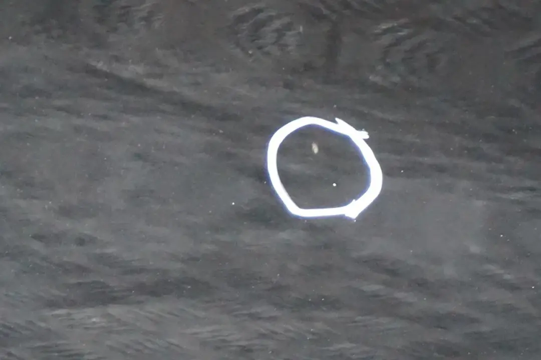 BMW X5 SERIES 1 E53 Door Front Right O/S Black Sapphire Metallic - 475 - SKU 8256824-BS1 - Part number 8256824