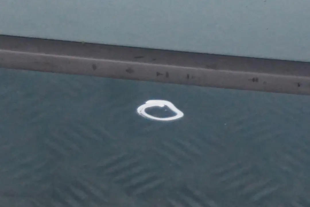 Door Front Right O/S Graugruen Grey Green Metallic - 442 to BMW X5 Series E53 with Part number 8256824 BMW X5 Series E53 Door Front Right O/S Graugruen Grey Green Metallic - 442 - SKU 8256824-GG - Part number 8256824