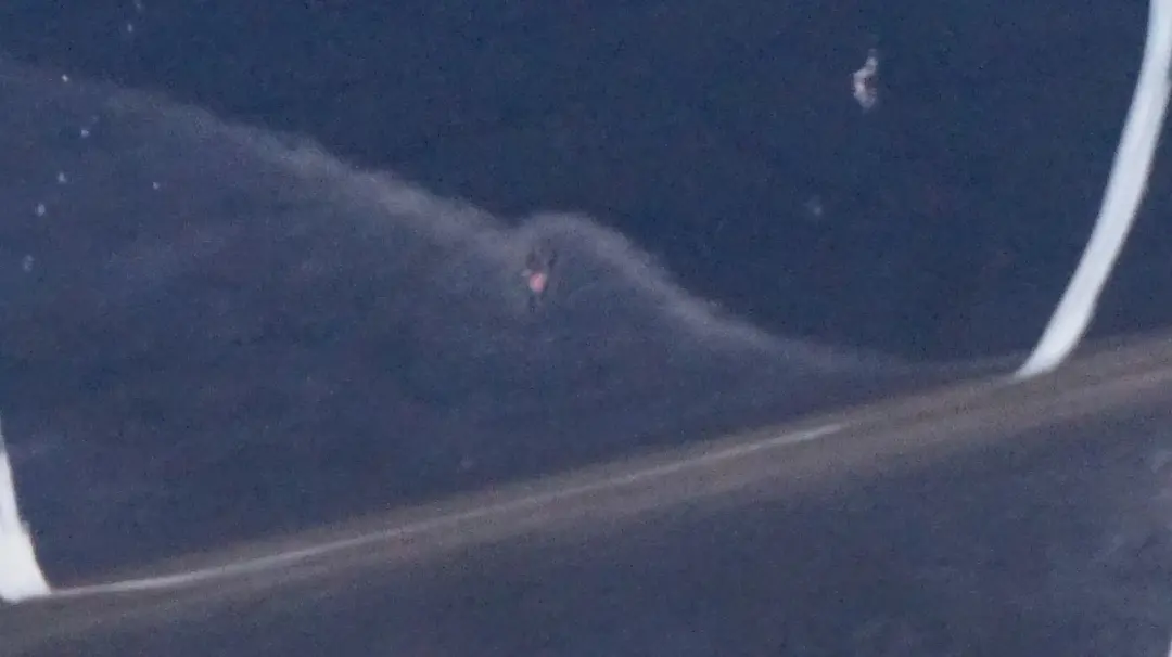 BMW E53 X5 Drzwi prawe przednie przód Topasblau - SKU 8256824-TPB1 - Numer Części 8256824