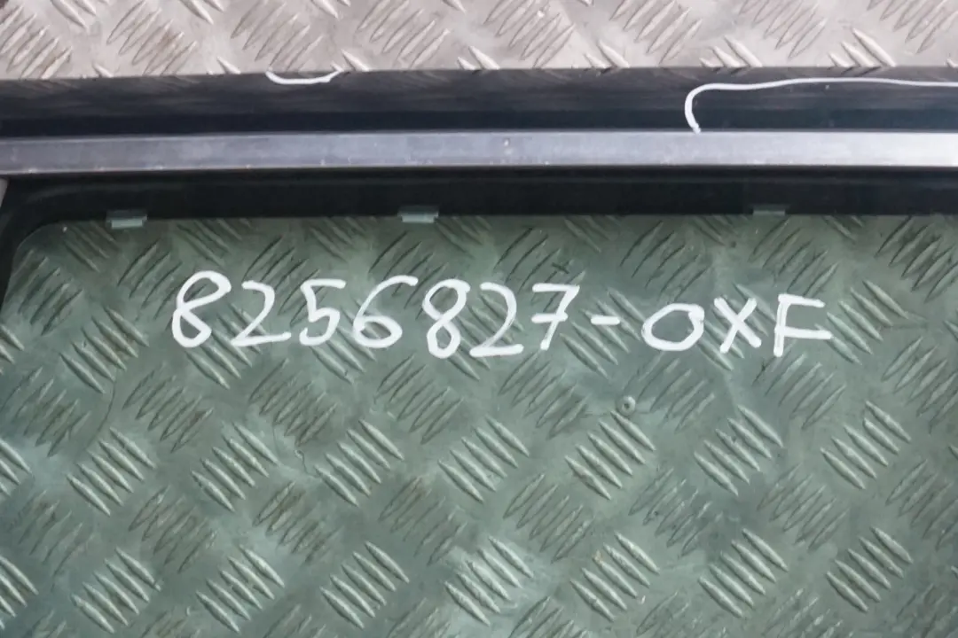 BMW E53 X5 Drzwi lewy tył tylne lewe Oxfordgruen - SKU 8256827-OXF - Numer Części 8256827