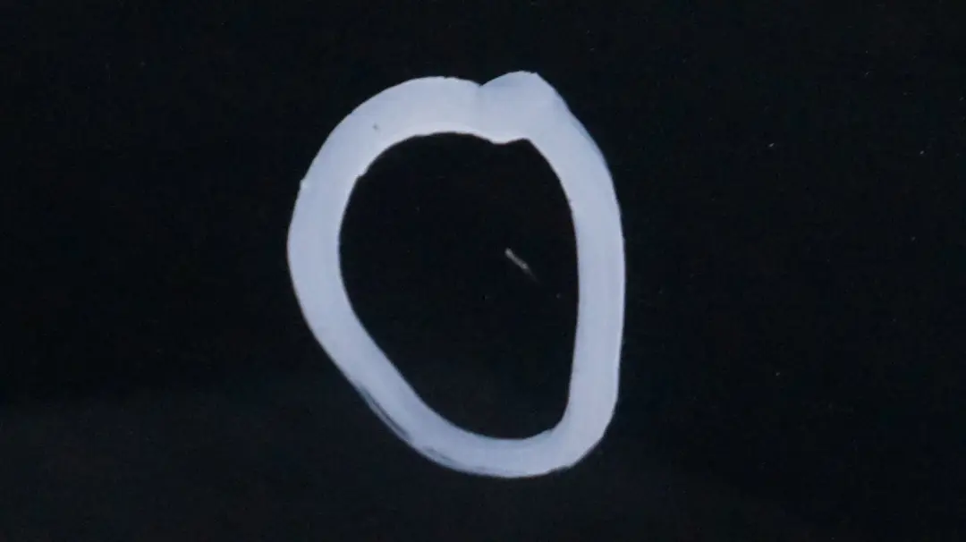 Door Rear Left N/S Oxfordgruen Oxford Green Metallic 430 to BMW X5 SERIES 1 E53 with Part number 8256827 BMW X5 SERIES 1 E53 Door Rear Left N/S Oxfordgruen Oxford Green Metallic 430 - SKU 8256827-OXF1 - Part number 8256827