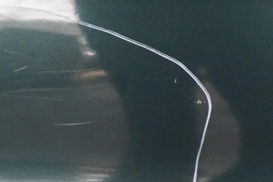 BMW E53 X5 Drzwi lewy tył tylne lewe Oxfordgruen - SKU 8256827-OXF2 - Numer Części 8256827