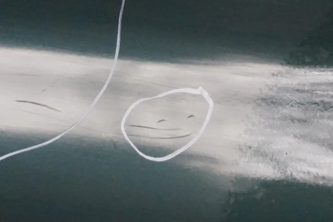 Lato Conducente Porta Posteriore Sinistra Verde Oxford - 430 per BMW X5 E53 con numero di parte 8256827 BMW X5 E53 Lato Conducente Porta Posteriore Sinistra Verde Oxford - 430 - SKU 8256827-OXF2 - Numero di parte 8256827