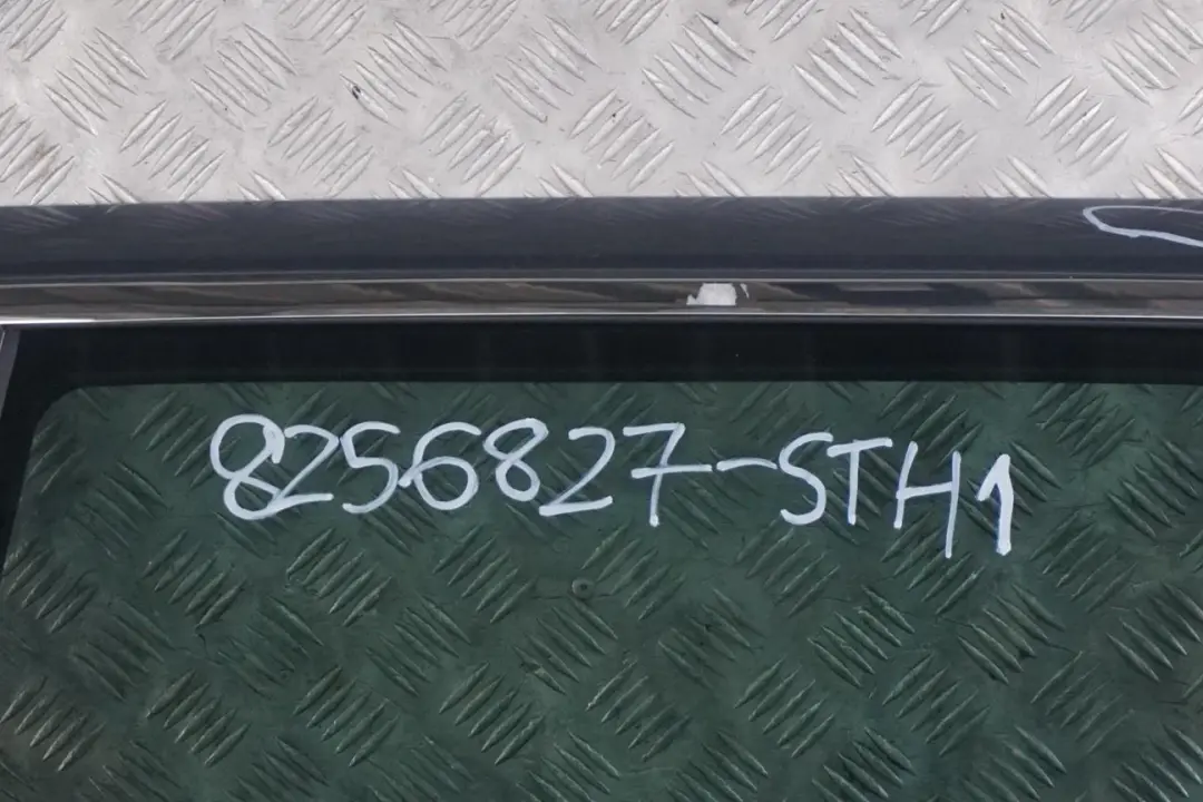 BMW E53 X5 Drzwi lewy tył tylne lewe Stahlgrau - SKU 8256827-STH1 - Numer Części 8256827