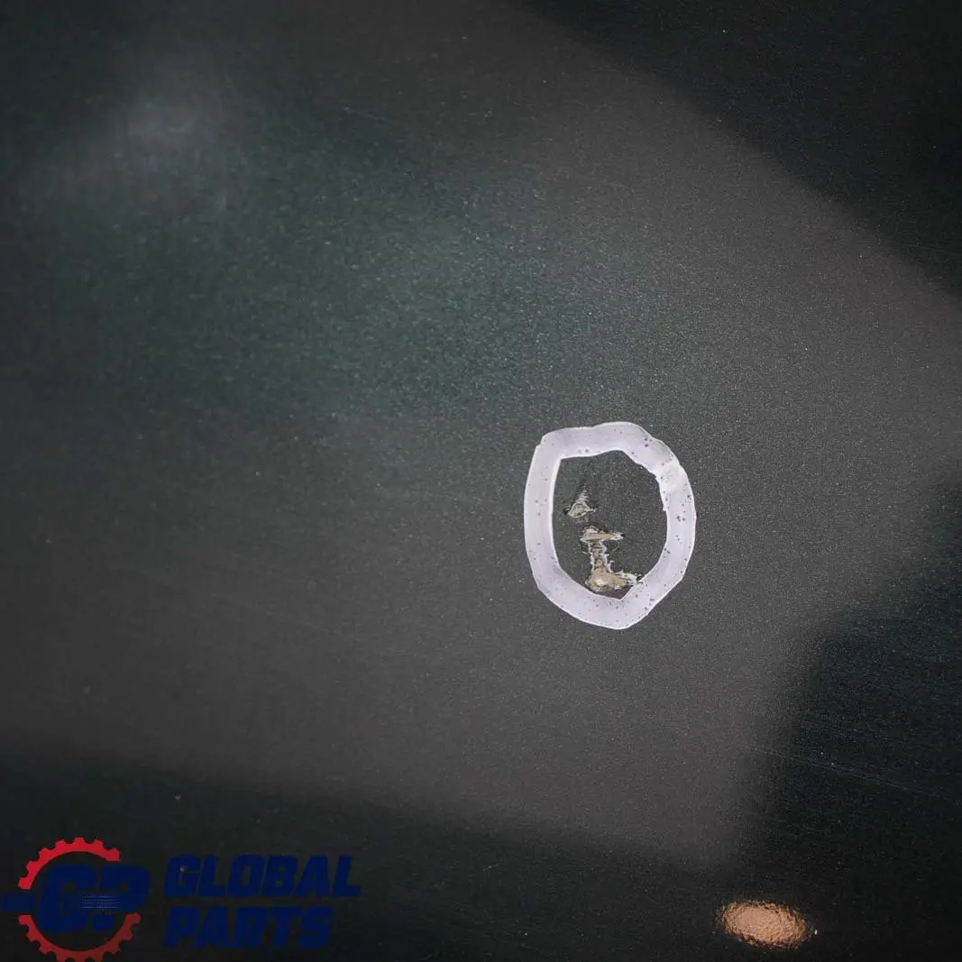 BMW X5 E53 Porte Arriere Droite Vert Oxford Vert Metallique 430 - SKU 8256828-OXF - Numéro de pièce 8256828