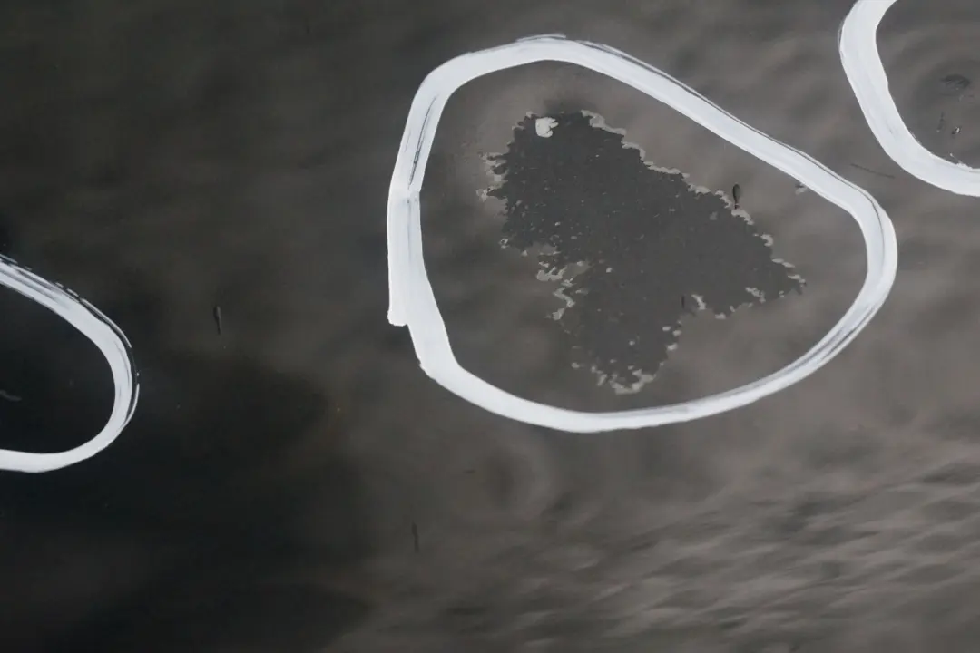 Passeggero Portiera Posteriore Destra Verde Oxford Metallizzato per BMW X5 E53 con numero di parte 8256828 BMW X5 E53 Passeggero Portiera Posteriore Destra Verde Oxford Metallizzato - SKU 8256828-OXF1 - Numero di parte 8256828