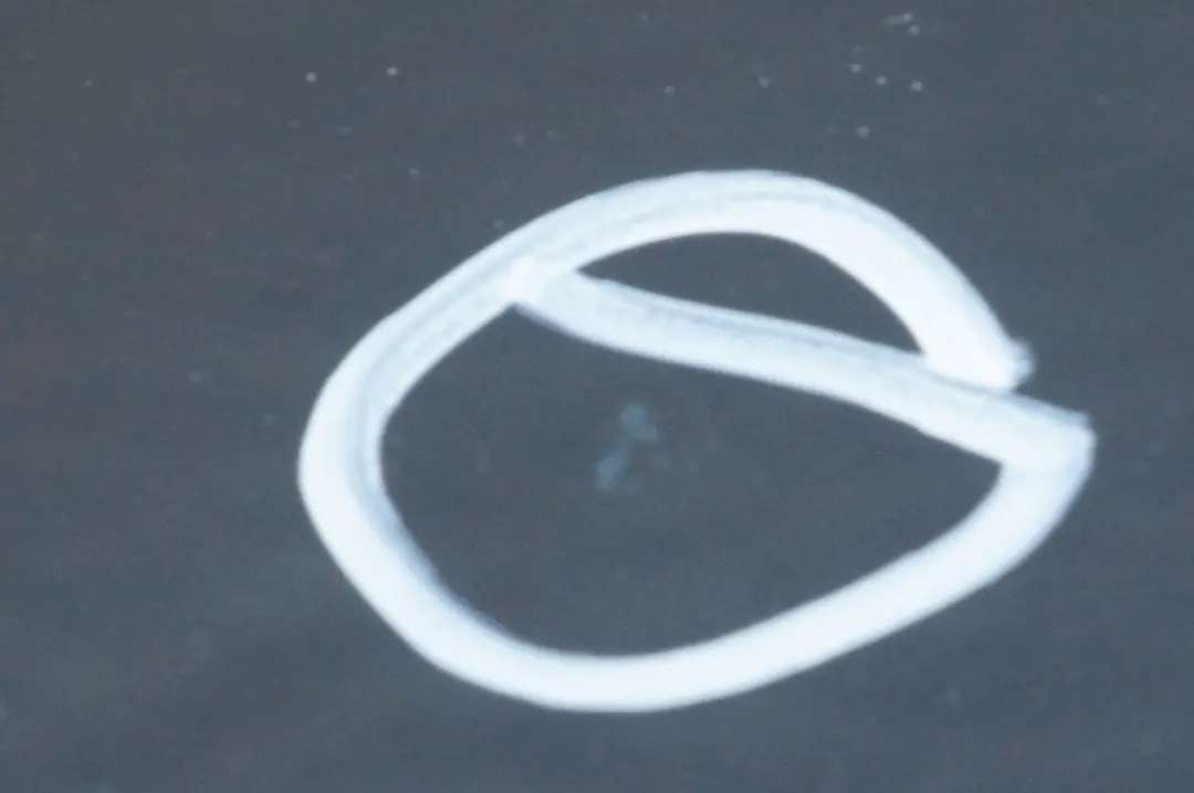 BMW X5 E53 Puerta Trasera Derecha Schwarz 2 Negro - 668 - SKU 8256828-SCH - Número de pieza 8256828