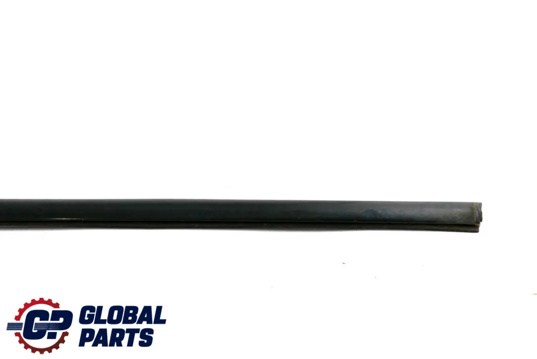 BMW E53 Burlete Exterior Puerta Delantera Izquierda Alto Brillo Glanzschwarz - SKU 8257701 - Número de pieza 8257701