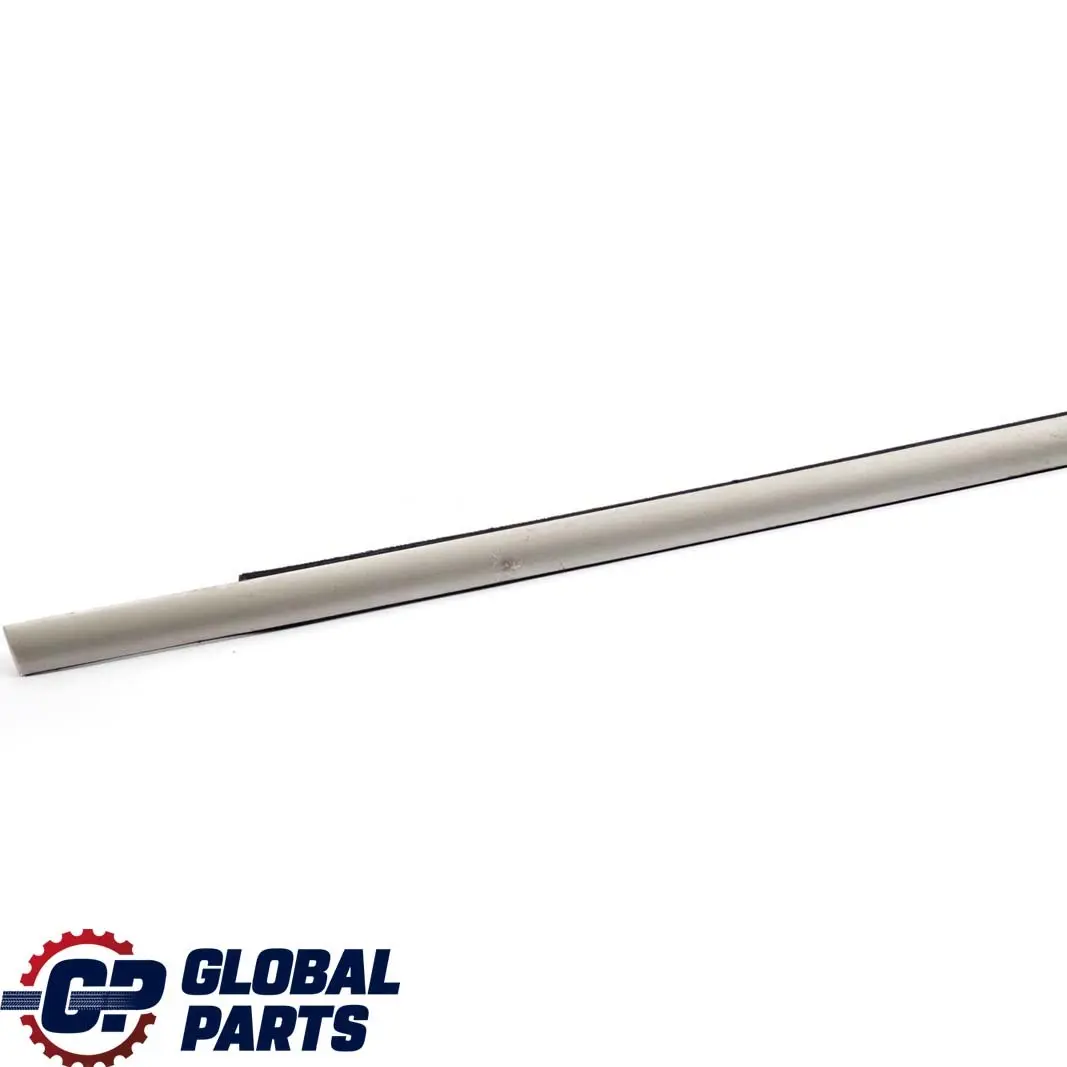 Striscia Paraspruzzi Esterna Porta Anteriore Destra Titan per BMW X5 E53 con numero di parte 8257720 BMW X5 E53 Striscia Paraspruzzi Esterna Porta Anteriore Destra Titan - SKU 8257720 - Numero di parte 8257720