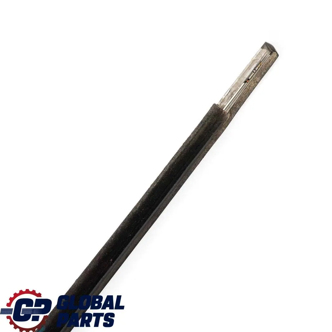 BMW X5 E53 Striscia Paraspruzzi Esterna Porta Anteriore Destra Titan - SKU 8257720 - Numero di parte 8257720