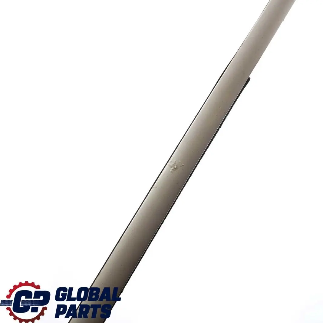 BMW X5 E53 Striscia Paraspruzzi Esterna Porta Anteriore Destra Titan - SKU 8257720 - Numero di parte 8257720