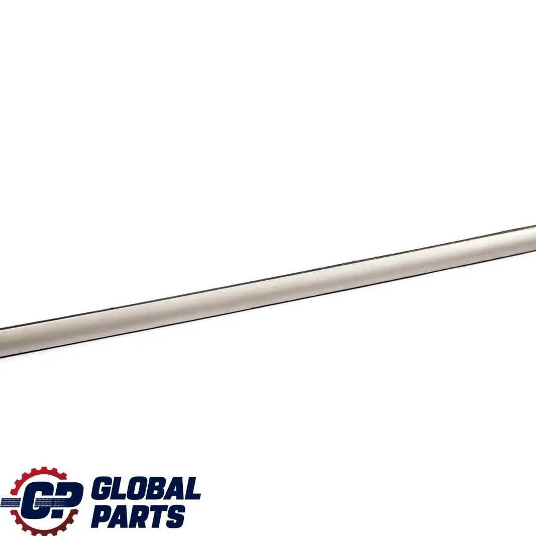 BMW X5 E53 Front Right O/S Door Outer Weatherstrip Strip Titan - SKU 8257720 - Part number 8257720