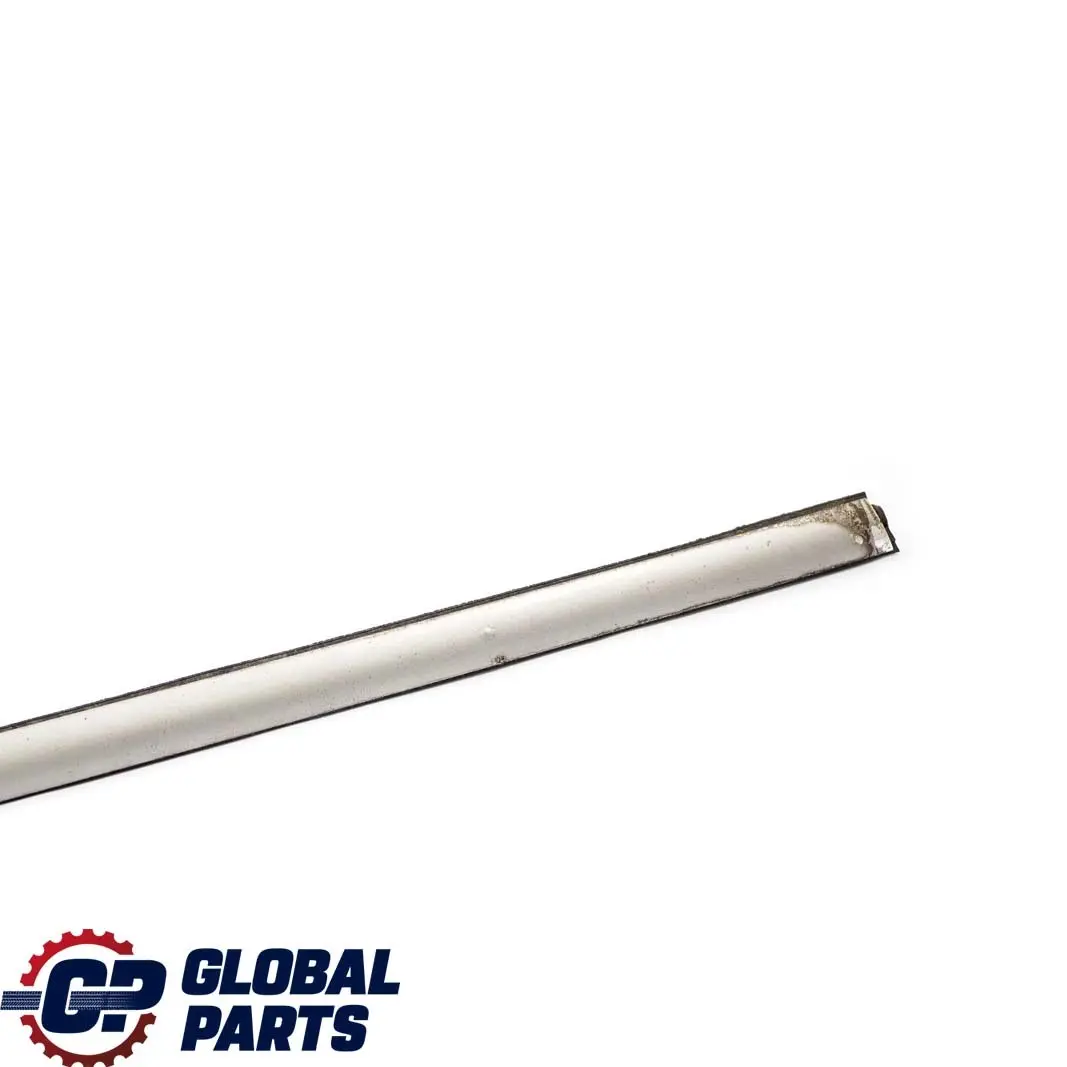 BMW X5 E53 Front Right O/S Door Outer Weatherstrip Strip Titan - SKU 8257720 - Part number 8257720