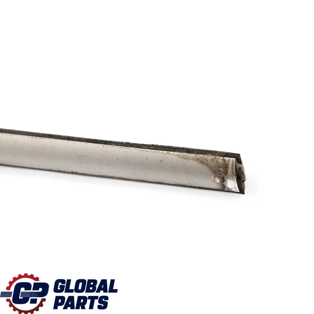 BMW X5 E53 Front Right O/S Door Outer Weatherstrip Strip Titan - SKU 8257720 - Part number 8257720