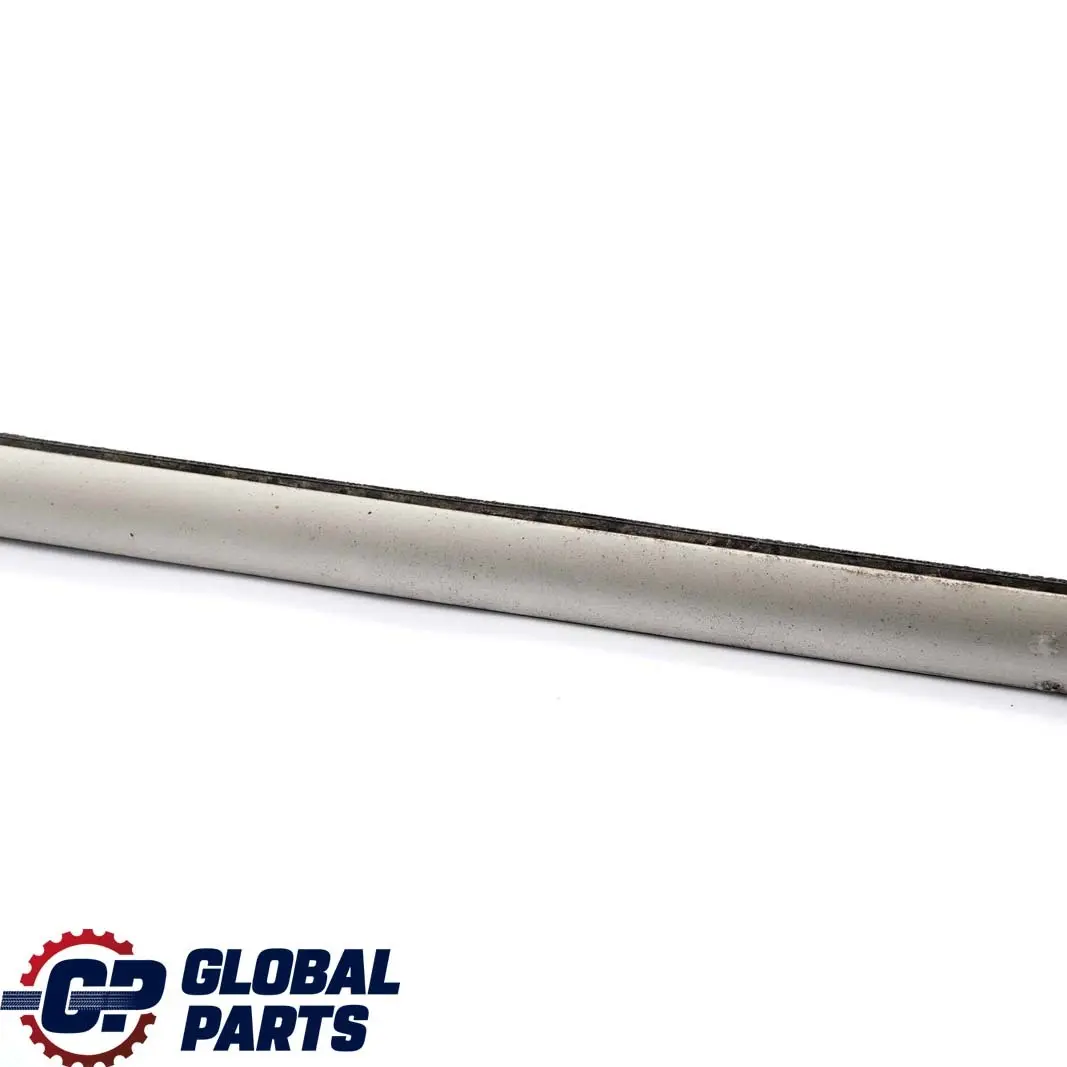 Puerta Delantera Derecha Burlete Exterior Titan para BMW X5 E53 con número de pieza 8257720 BMW X5 E53 Puerta Delantera Derecha Burlete Exterior Titan - SKU 8257720 - Número de pieza 8257720